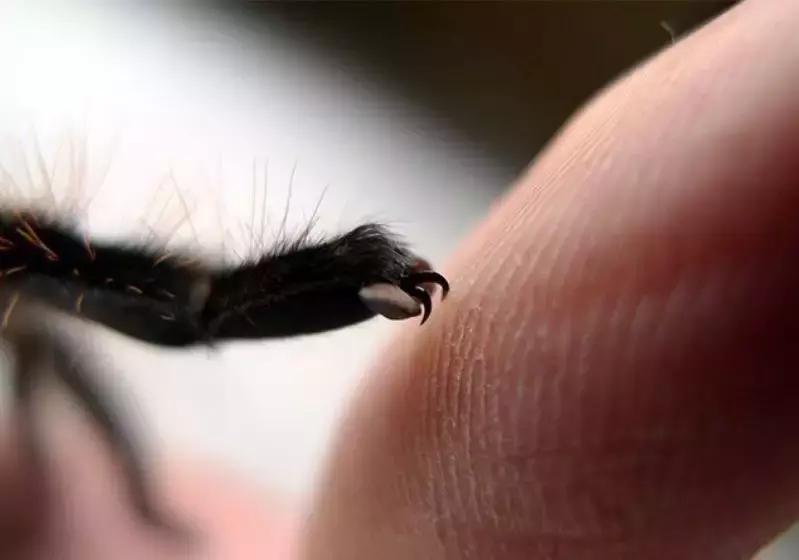 50条让你震惊的冷知识,这十个冷知识确实涨见识