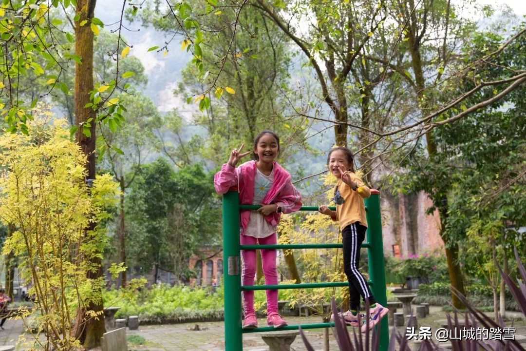 乐山嘉阳小火车值得去吗,嘉阳小火车与乐山大佛相隔多远