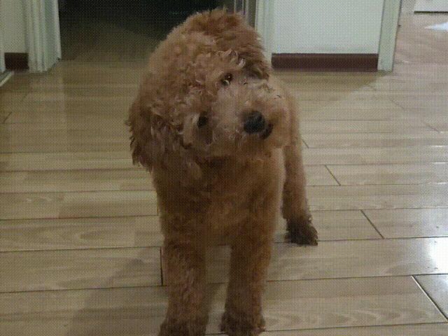 草莓洗澡用的沐浴露,女生草莓味沐浴露