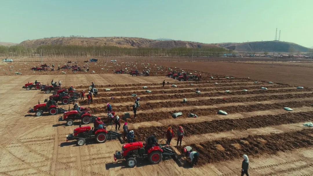 幸福生活到底啥模样,幸福生活到底是什么样的