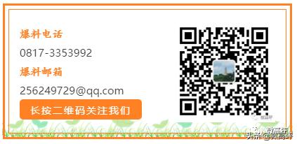 高坪区临江新区,高坪临江新区