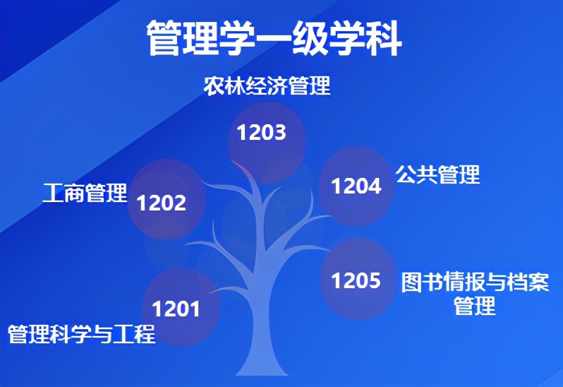 考得好真的有出路吗,考管理学需要什么条件