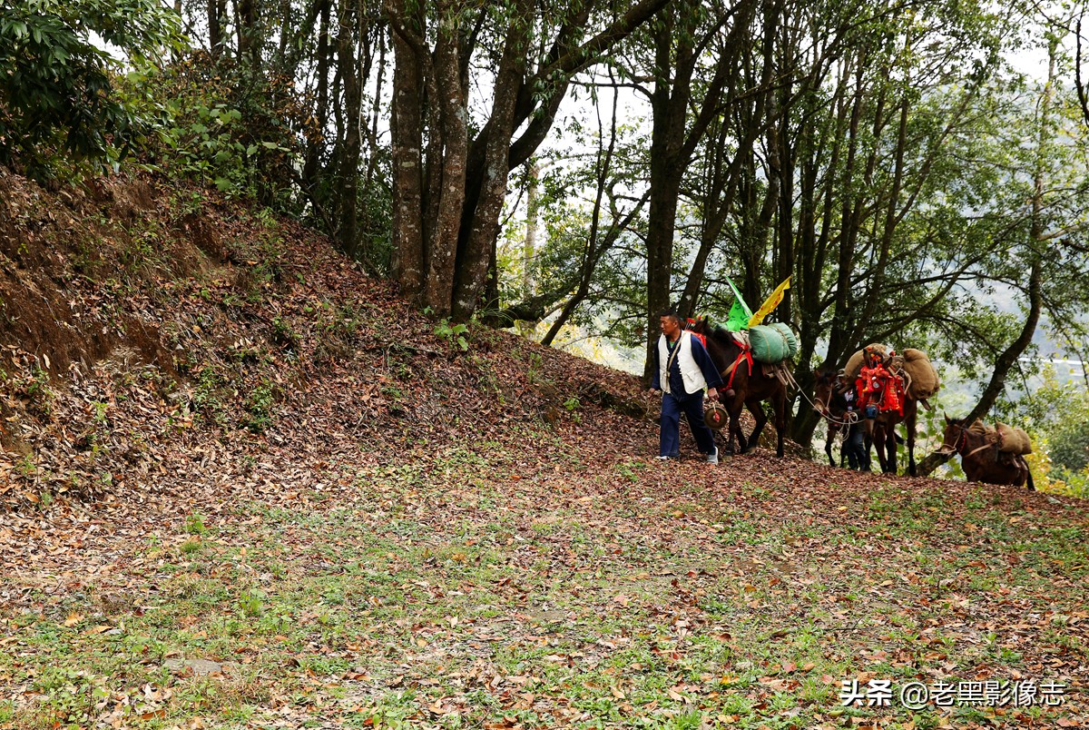 无量山镇游玩攻略一日游,无量山旅游攻略一日游多少钱