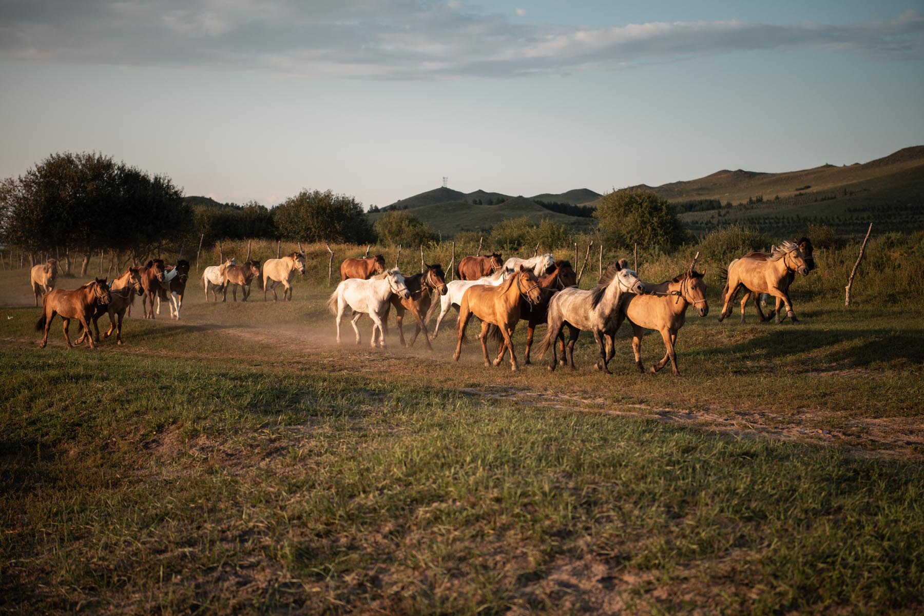 拥有这21件高颜值户外装备,让我们的草原野餐会像家里般优雅
