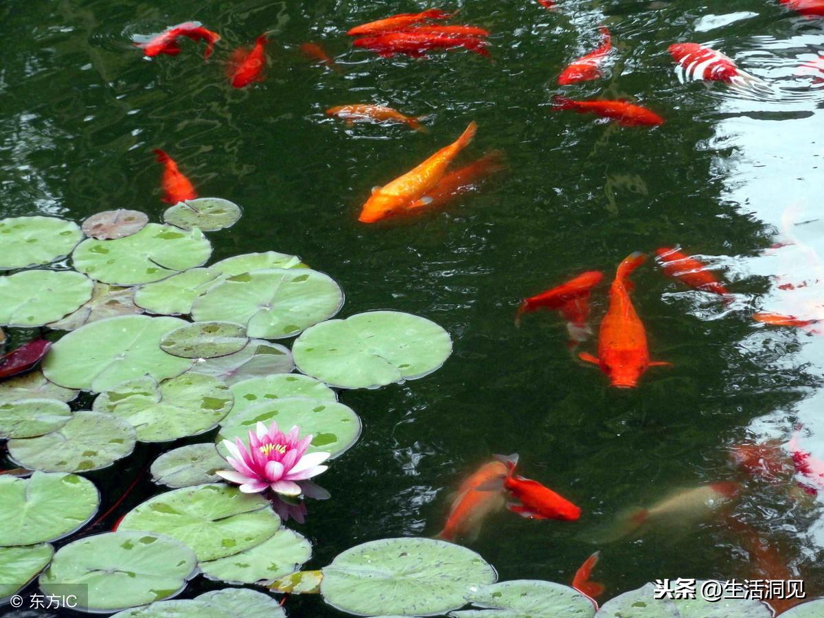 转运时真的可以转运吗,转运当天最好做些什么