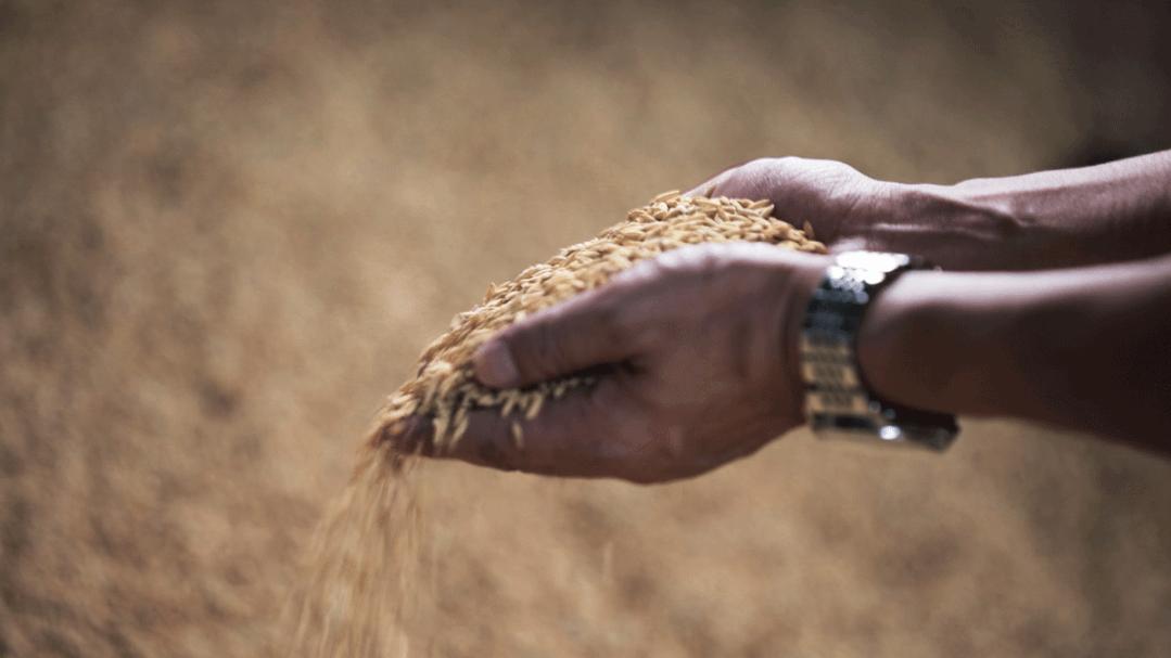 离开体制后创业,离开体制创业成功的企业家