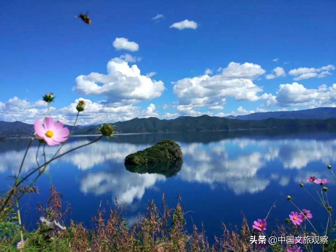 云南又在央视火了！这份云南2019新简历要藏不住了！