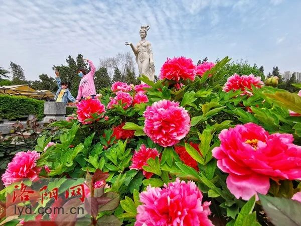 洛阳地铁乘坐方法,洛阳乘坐地铁的详细流程