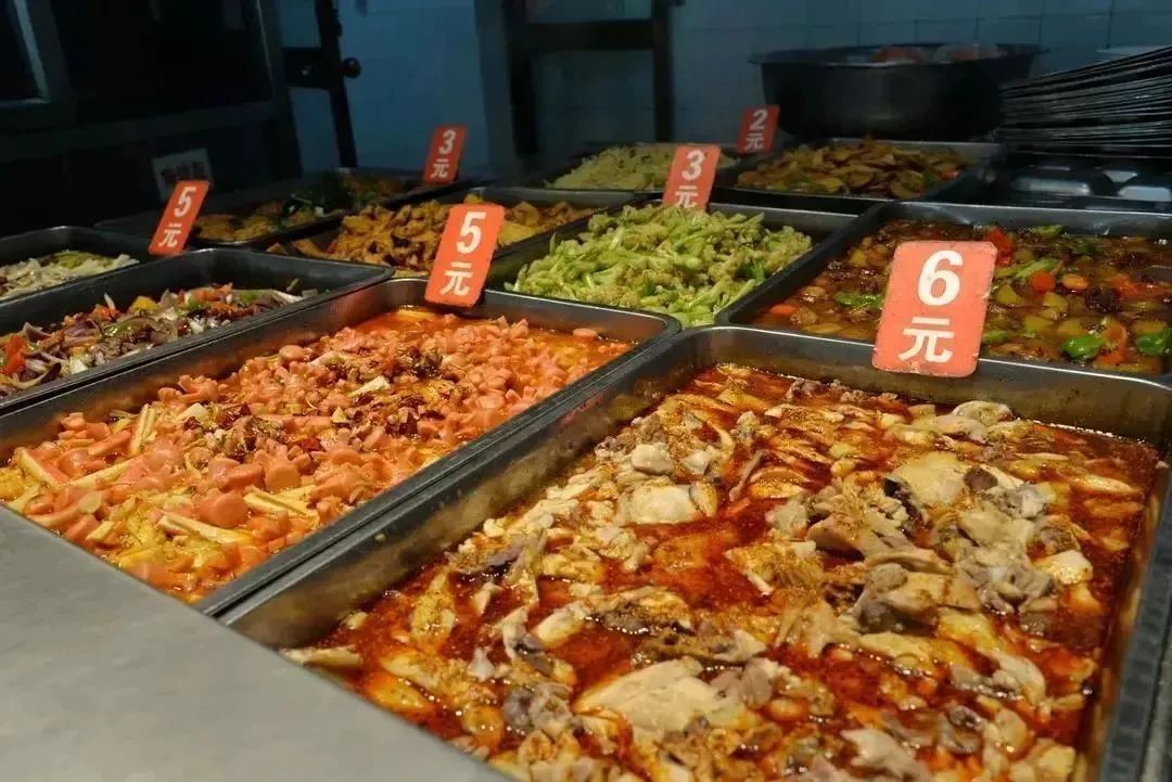 徐州生物工程职业学院2024年单招,徐州生物工程职业技术学院升本科