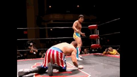 李小龙被丑化,李小龙打wwe能打冠军吗