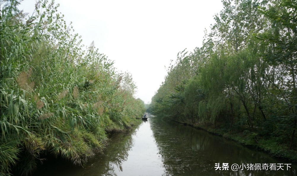 溱湖国家湿地公园晚上好玩吗,溱湖国家湿地公园门票