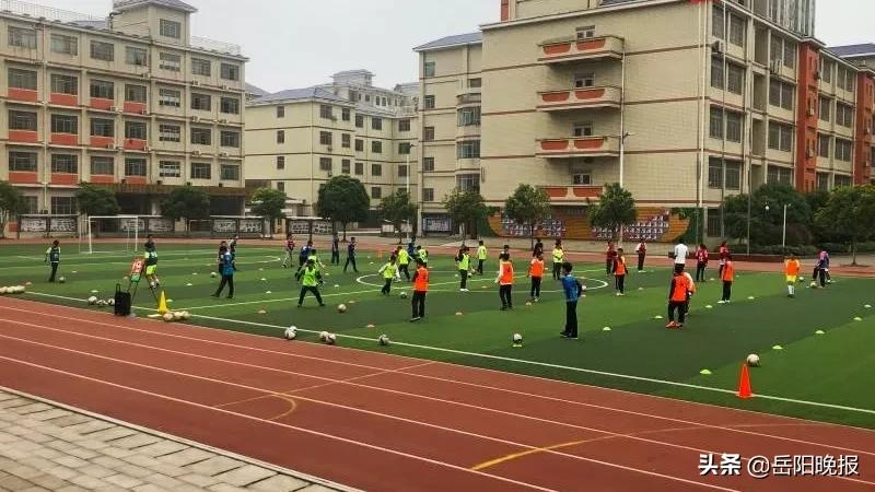 各地抗疫操作给我们的启示,岳阳抗疫演练