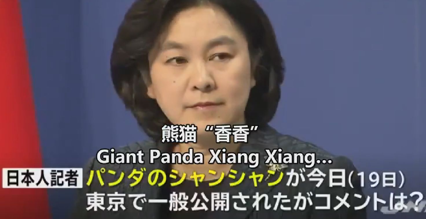 乒乓看世界,从乒乓外交看体育外交