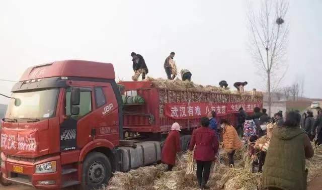 疫情面前，请看看他们......