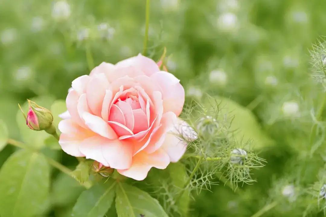 太累的话就给自己按个暂停键吧,感觉很累的时候还应不应该坚持