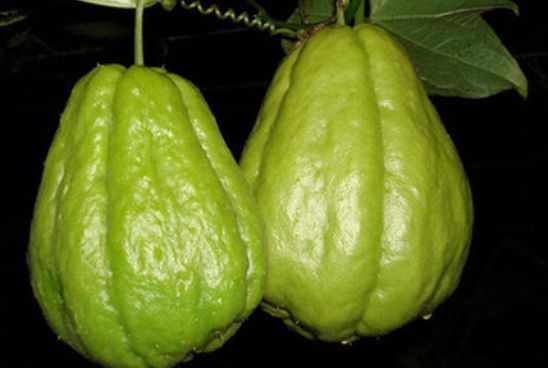 秋天这瓜刚上市，价格便宜，容易储存，经常吃提高抵抗力少生病