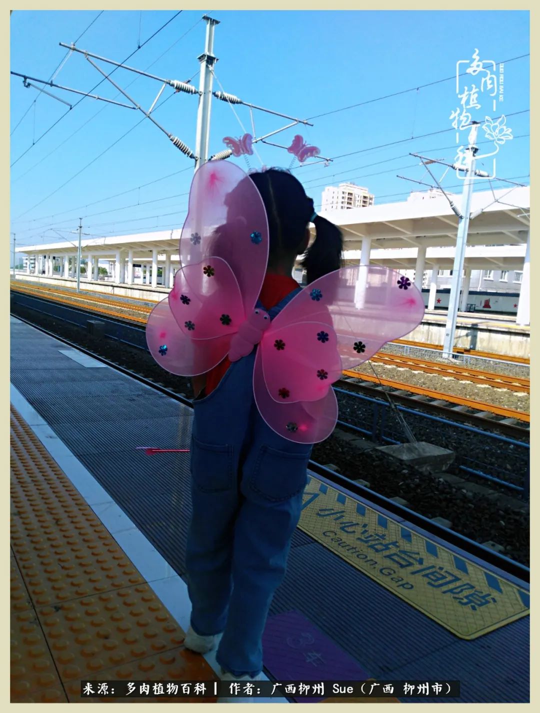 艳阳高照凉爽贵州,我要勤快地捕捉美好!(二)