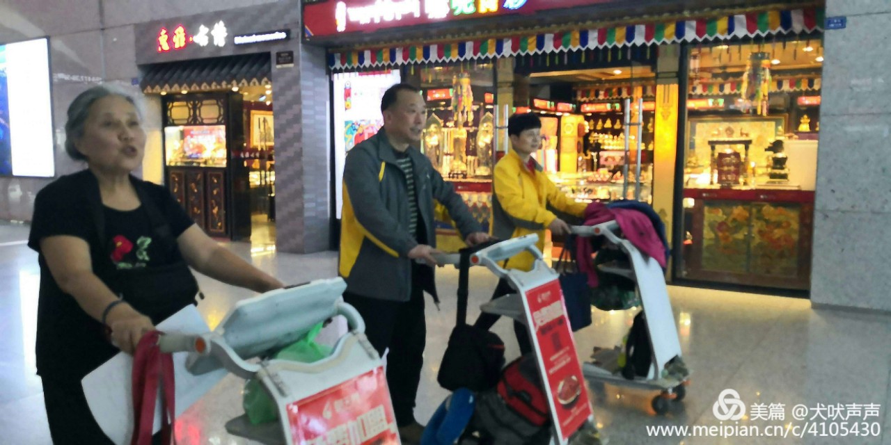 花甲后的新西兰自驾之旅（一）