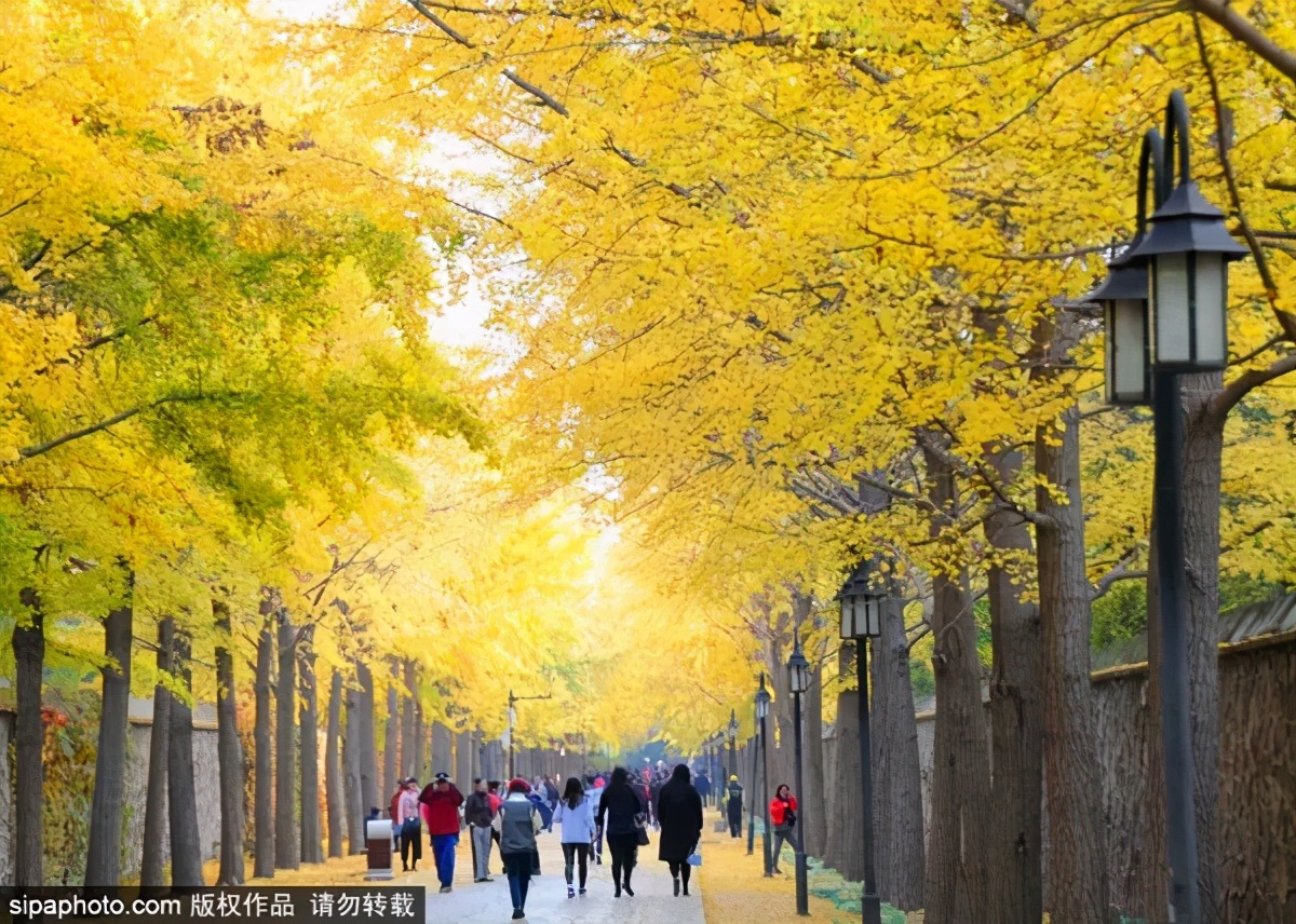 打卡北京十大古迹,打卡北京100个景点