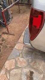 怎么幽默跟老板说报销,提了好多报销流程幽默调侃