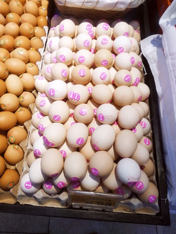 鸡蛋白的和黄一点有啥区别,鸡蛋白蛋和红蛋区别