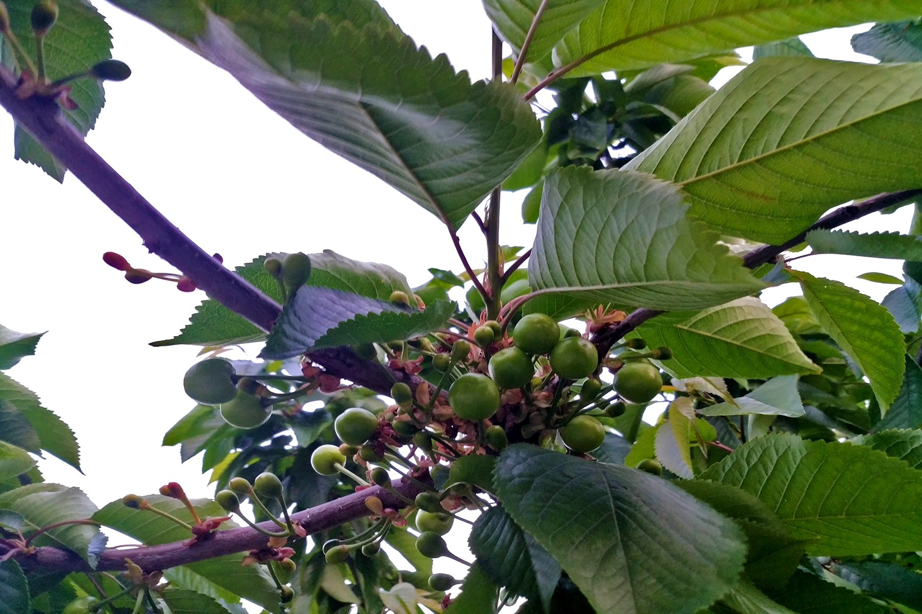 成都周边冷门山区景点,成都周围的大山的全景图