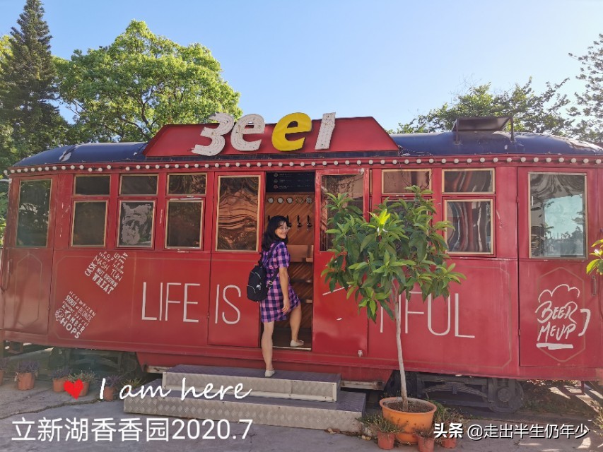 我眼中美丽的深圳,回忆深圳福永