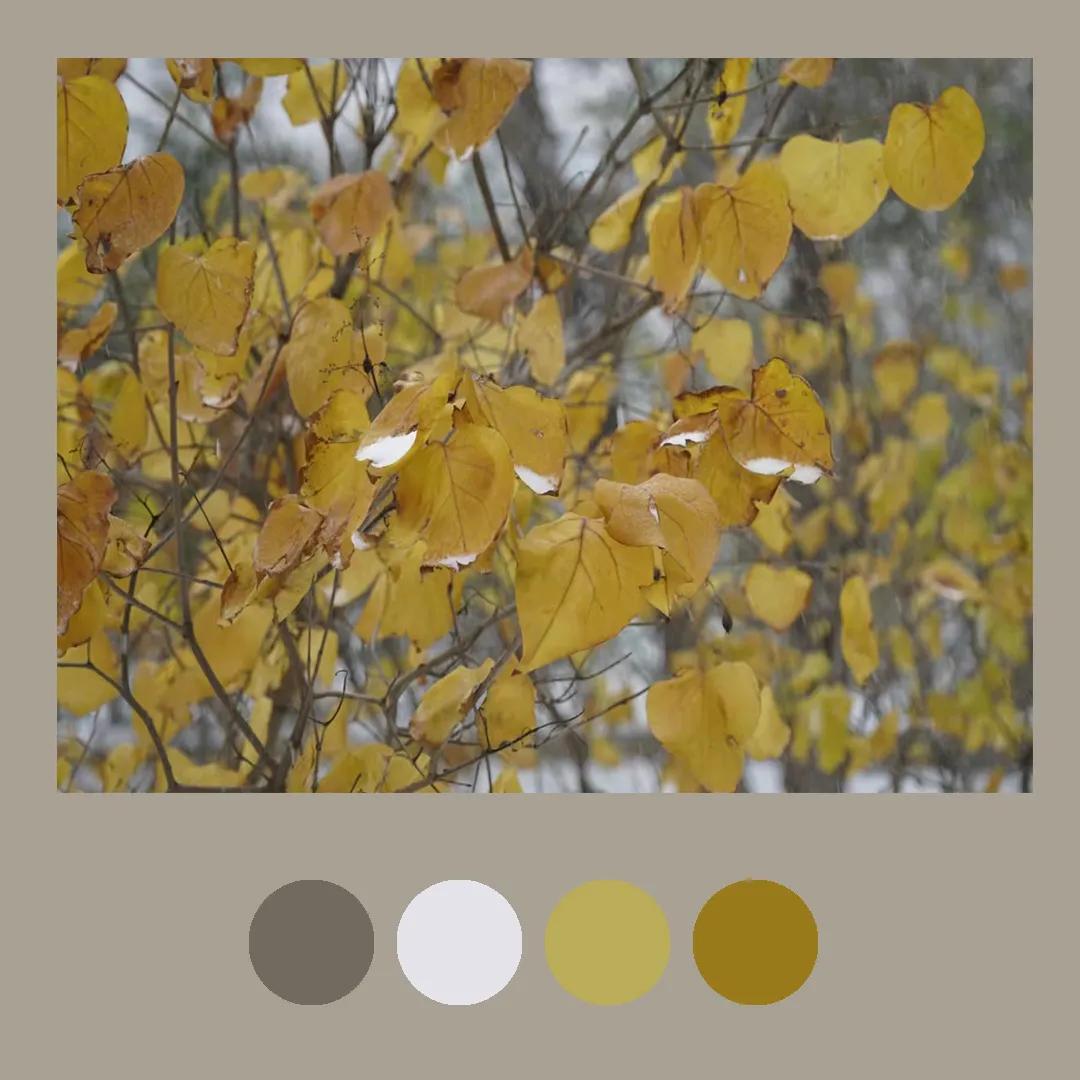 色彩里的构图,色彩中的光感