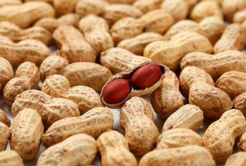 怀孕可以吃的零食都有什么,孕妇早期可以吃的零食有哪些