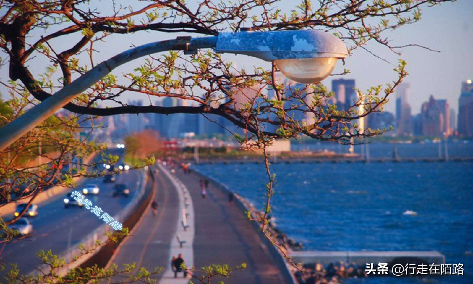 伊朗被网络攻击,伊朗真实的现状