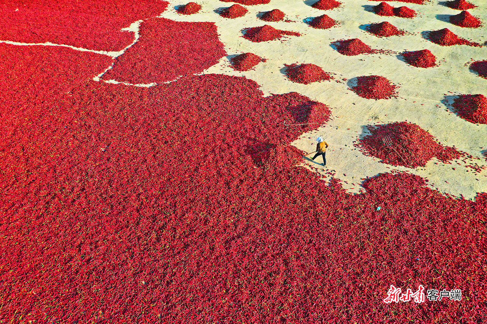 从百年*党**史中汲取奋进力量意气风发迈进新时代新征程——甘肃省干部群众热议*党**的十九届六中全会精神