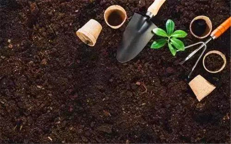 投资小型加工厂什么项目好,10万投资什么小加工厂合适