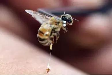 哭了!看完各大牌这些天价护肤品,用SK-II的你都算是勤俭持家