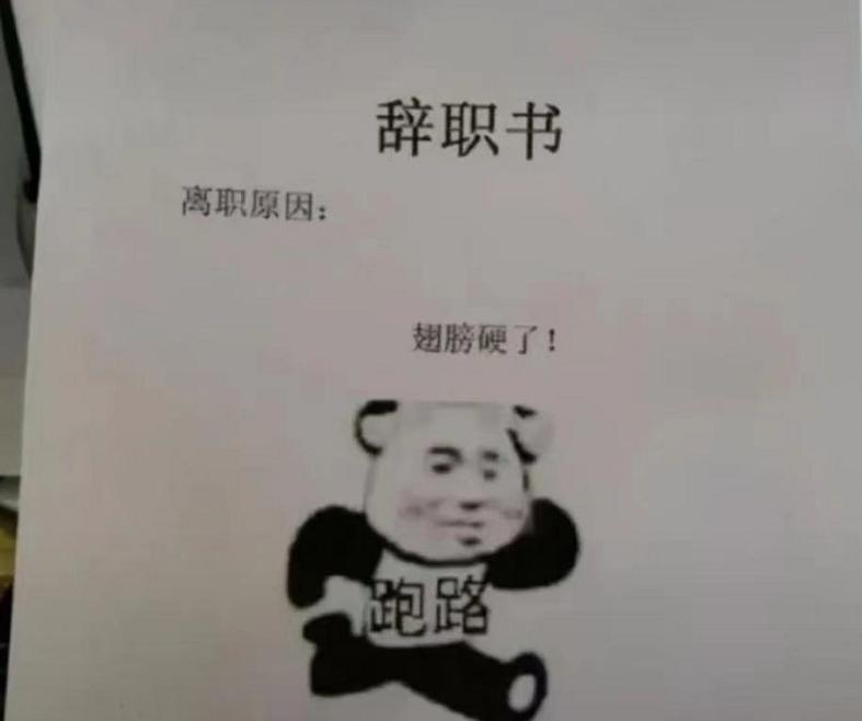 90后辞职信说出来了多少人的内心,90后辞职00后辞职奇葩理由