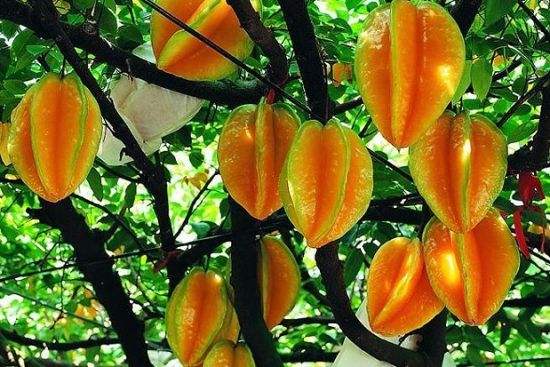 陆河特产擂茶炒花生米,汕尾陆河客家特产零食