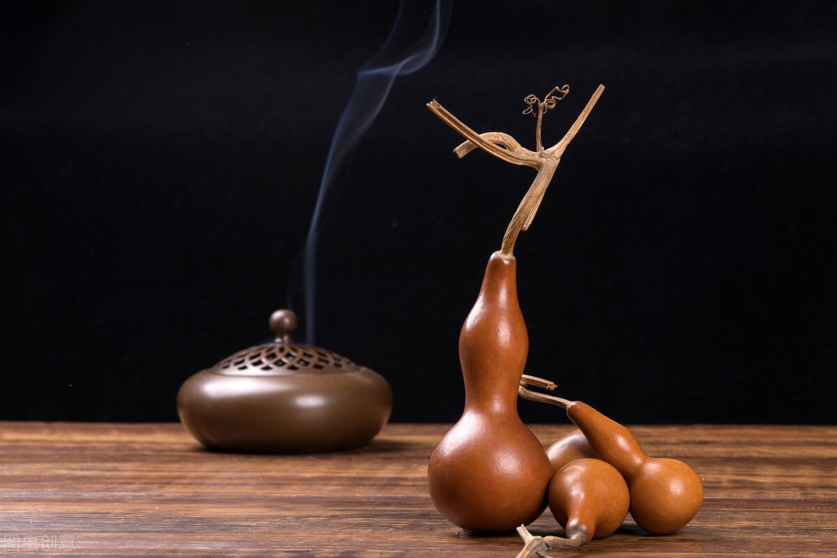 冲一句老话,我在院子里种了棵葫芦,等待结出“葫芦娃”