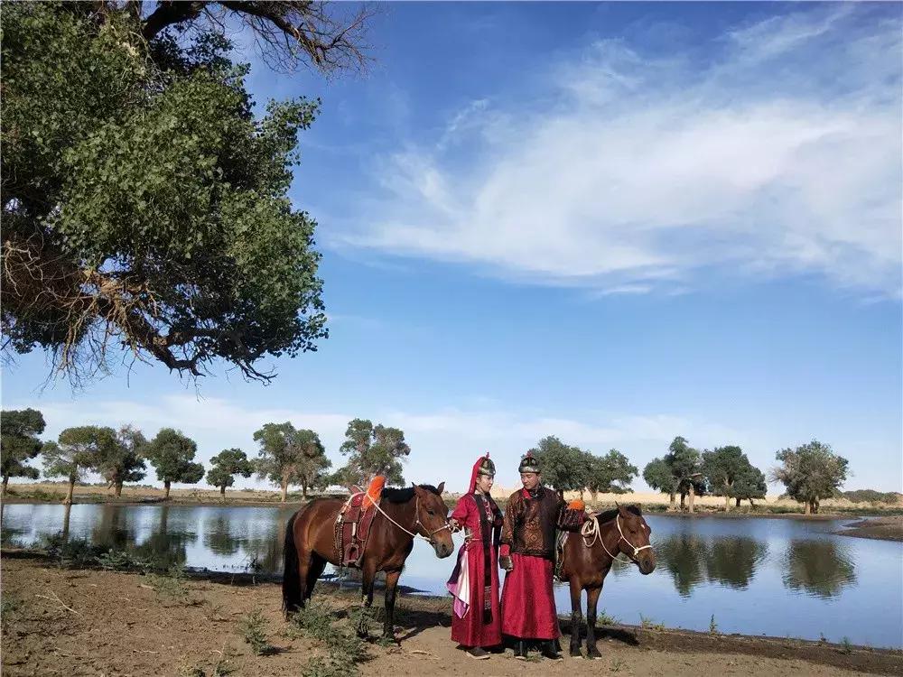额济纳旅游自由行攻略,额济纳旗旅游最佳省钱攻略