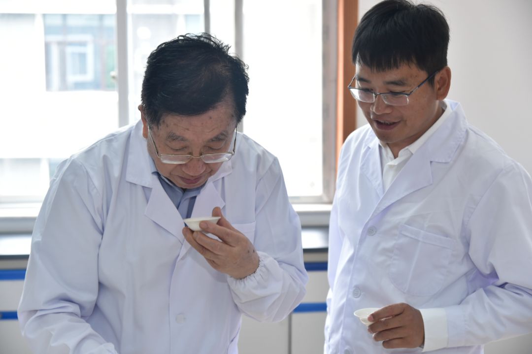 博君熟茶值得收藏吗,勐库戎氏博君熟茶200g