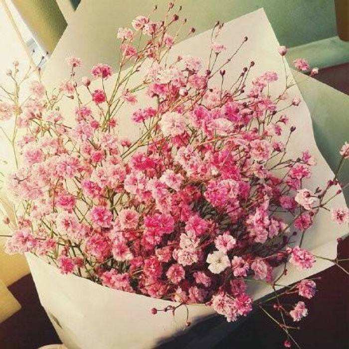 因为一束花带走了一天的难过,因为一束花收拾一间房