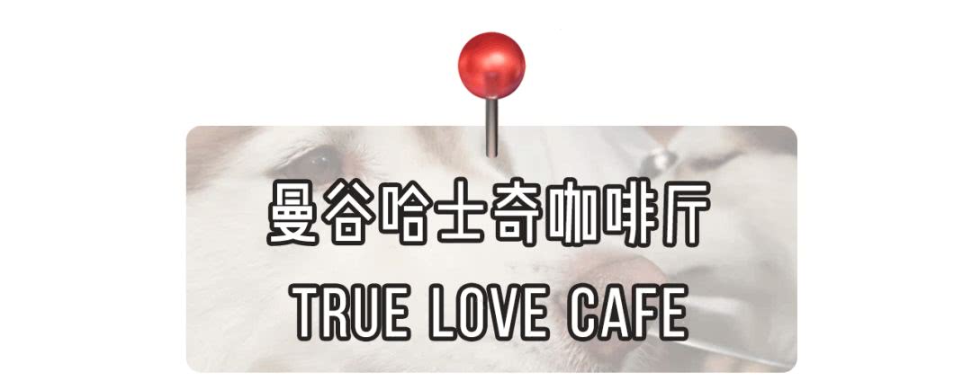 超全泰国旅行攻略｜美食吃到撑，逛街到腿断