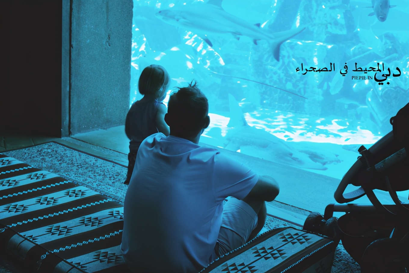 土豪之旅迪拜,迪拜土豪之旅