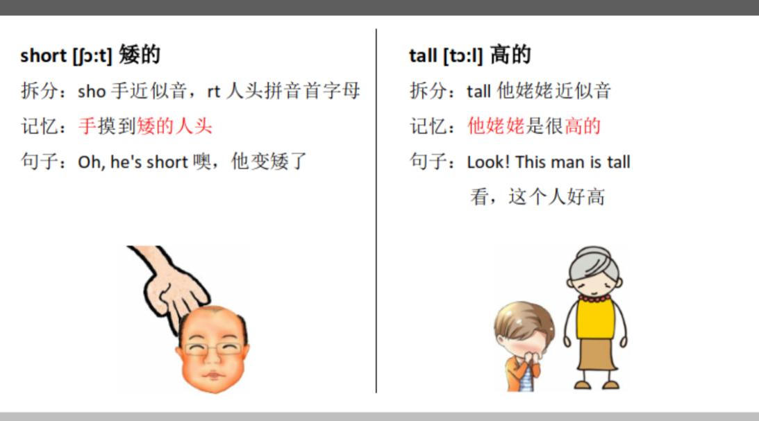 趣味记英语单词人教版,科普版三年级英语背单词