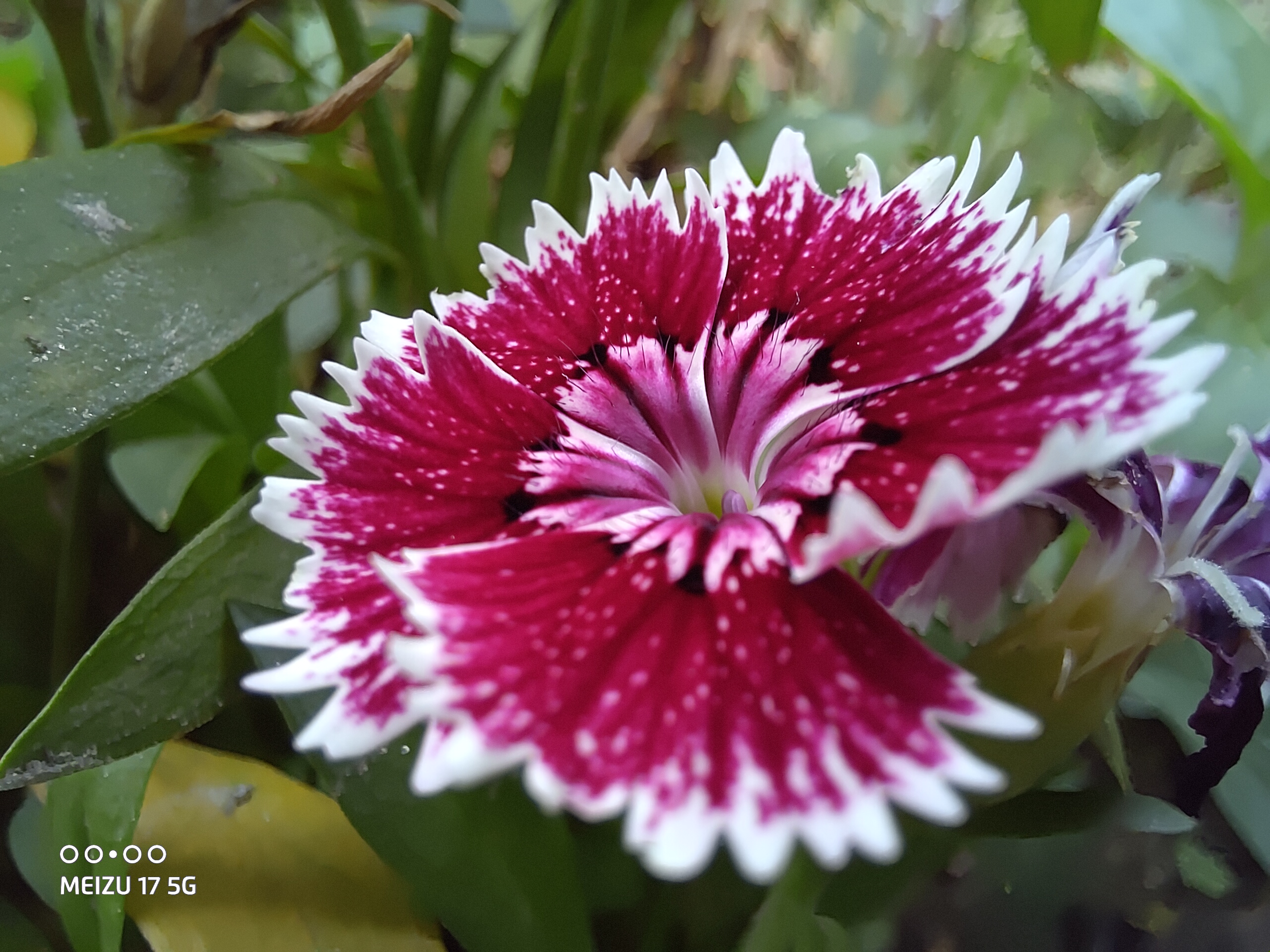 魅族17音质对比魅族16plus音质,魅族18x和魅族17pro谁更值得购买