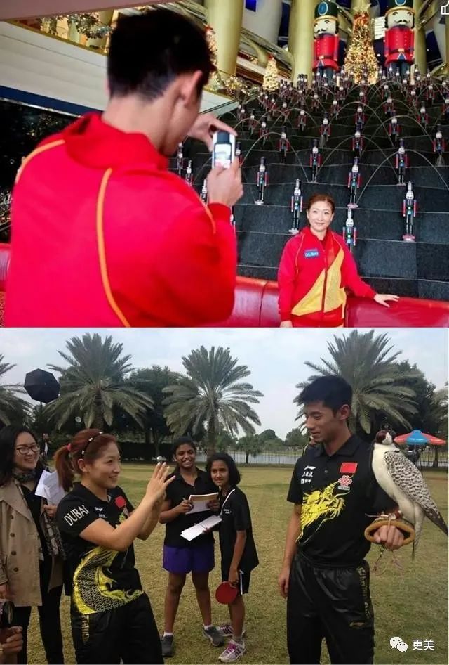 景甜对张继科事件的回忆,景甜对张继科用情太深