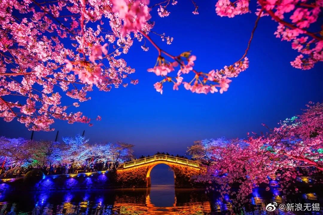 这份全国八大超美赏樱攻略,国内赏樱地盘点图片