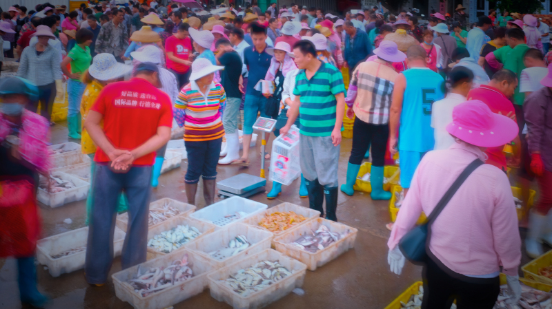 广东湛江景点及美食攻略,广东游记湛江市最美味的海鲜