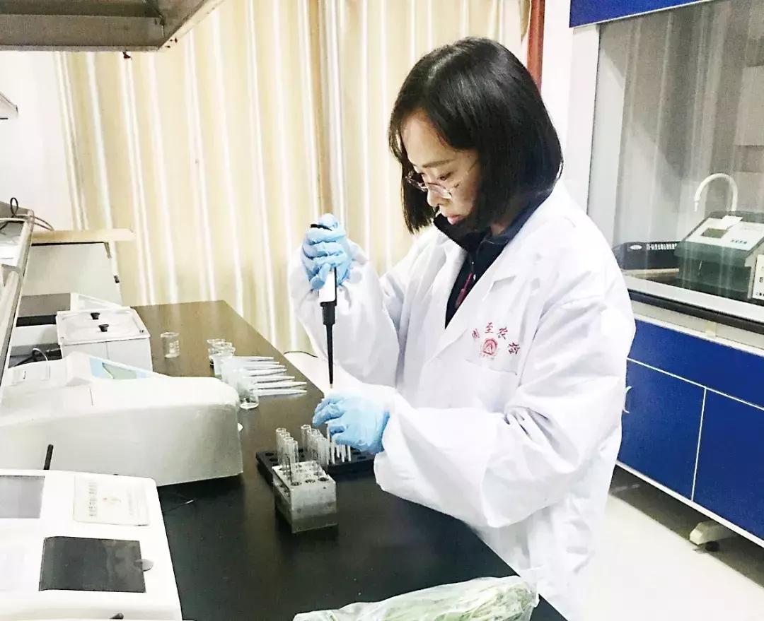 因为她们很漂亮的英语,因为他们让我的生活变得更美好