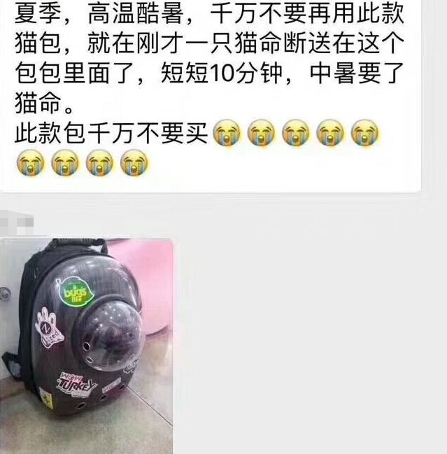 盘点致命的养猫玩具,猫咪新出网红用品