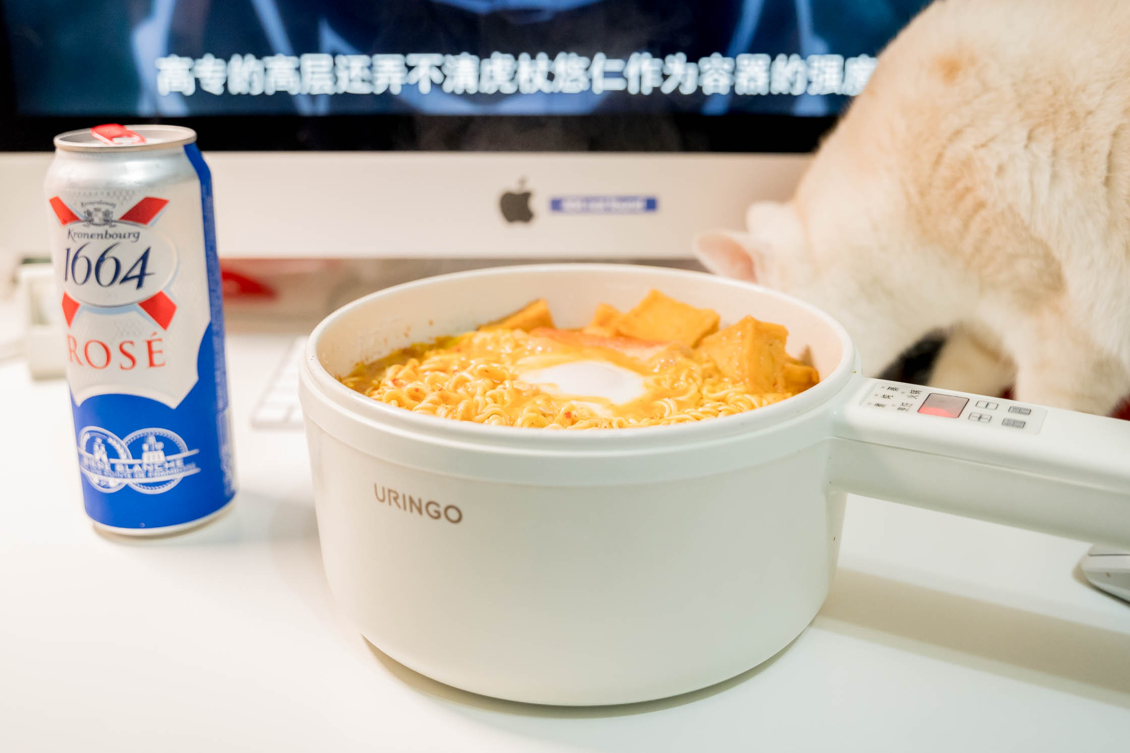 七彩小型电煮锅,热卖多功能电煮锅