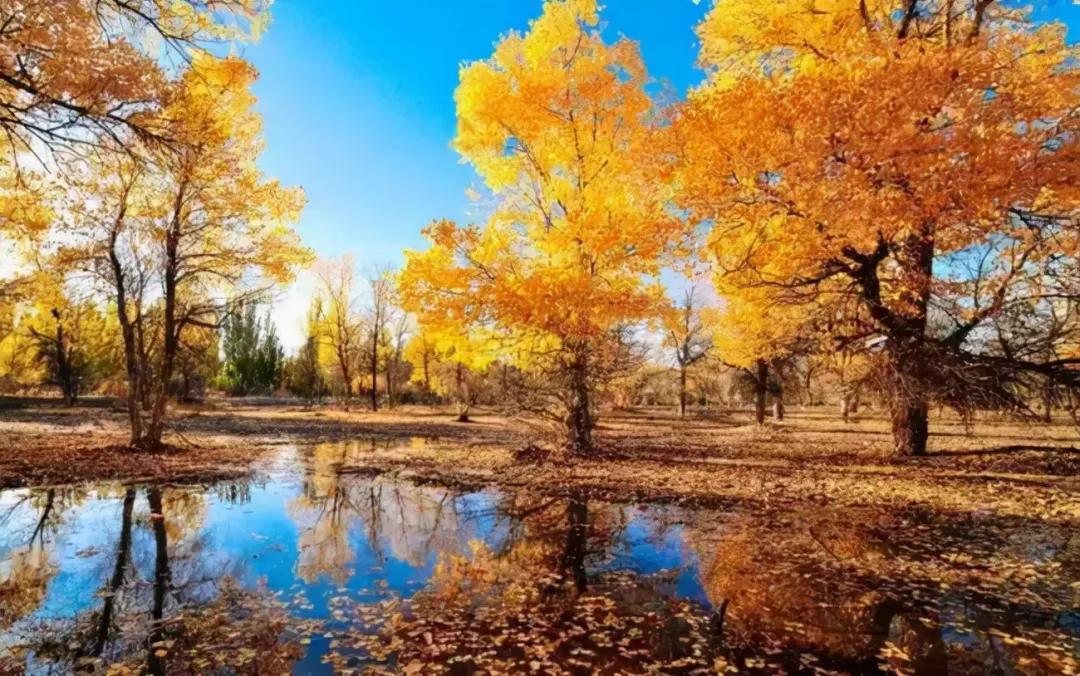 国内小众拍照胜地排名,文艺气息满溢的拍照圣地